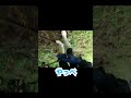 梅畑を荒らすイノシシを捕獲！short