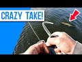 This Boat-side Hit was CRAZY! spring Pike Fishing