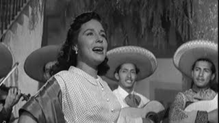 Flor Silvestre - ¡Qué rechulo es querer! (1950)