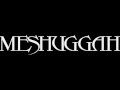 MESHUGGAH - Coming 2016...