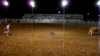 Landon rodeo