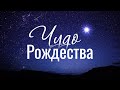 Чудо Рождества - Ксения Князева/Краеугольный камень /Новосибирск