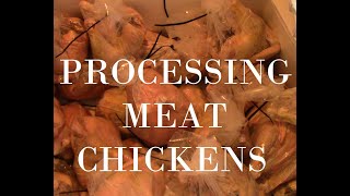 DIY HOW TO Processing Meat Chickens, Pastured Poultry, Backyard Chicken Processing [chicken] [meat]
