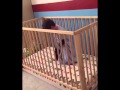 Toddler Jail Break from Crib