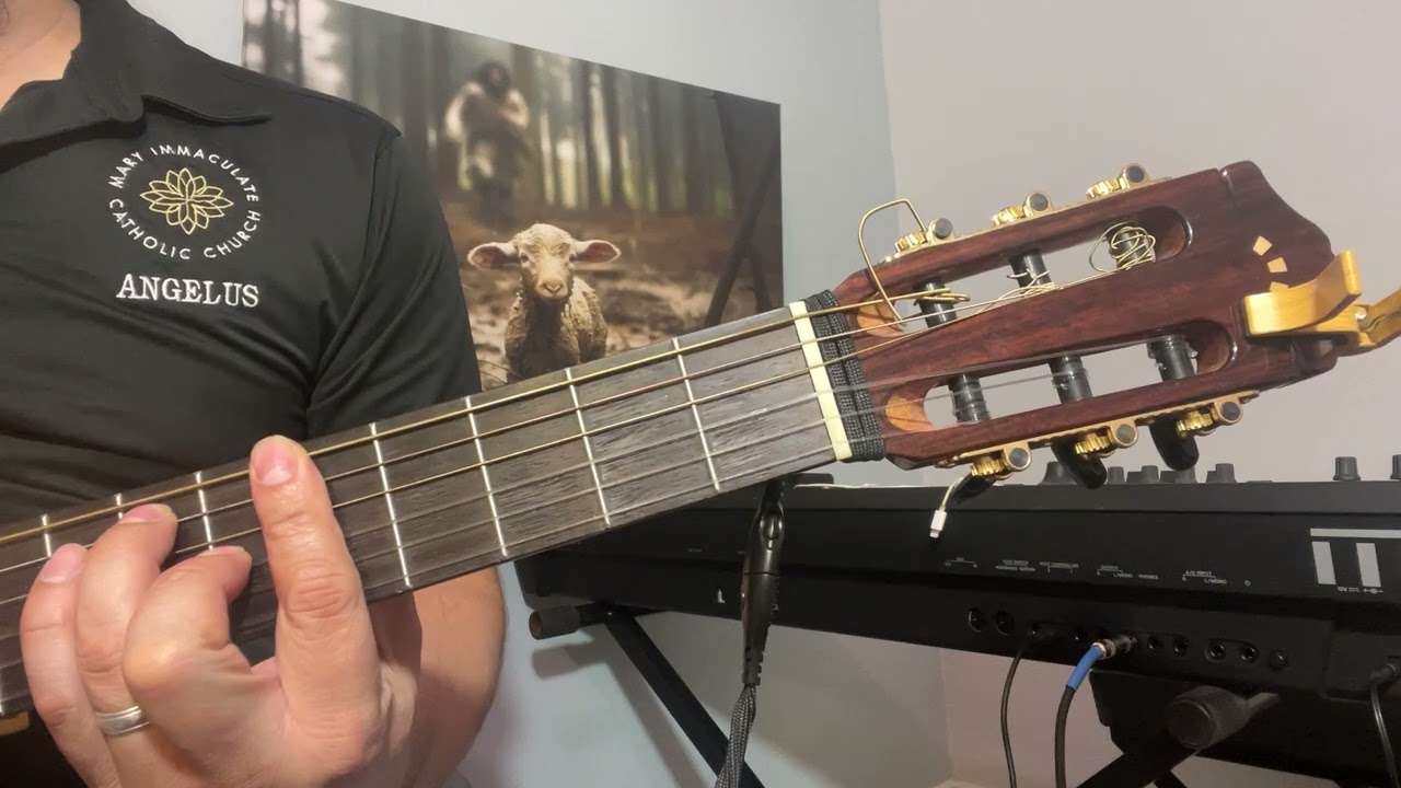 Salmo 145 ven señor a salvarnos diciembre 14 2025 