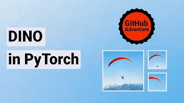 DINO in PyTorch
