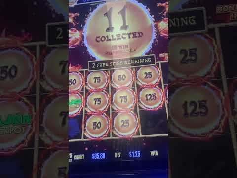 Gioca a Dragon Slots: il login per il casinò online in Italia