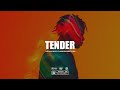 Tayc x Burna Boy x Tems x Wizkid Afroswing Type Beat 2024 "TENDER" | Afrobeat Instrumental