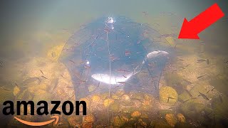 Amazon's WORST Crayfish Trap? (Umbrella Trap Test!)