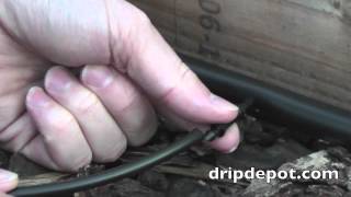How to Use 1/4" Microtubing as Feeder Lines from Mainline Tubing in a Drip System screenshot 4