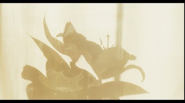 Art inspires Art No.2: On Florence Henri