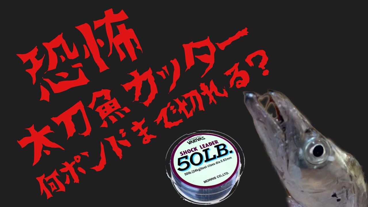 太刀魚は何ポンドのリーダーまで切る事ができるのか Youtube