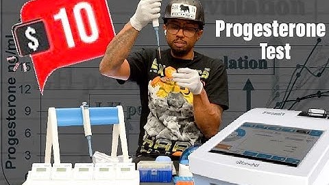 Wondfo FineCare Vet Progesterone Machine - How To Run At Home Progesterone Test For Dogs.