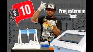 Wondfo FineCare Vet Progesterone Machine - How To Run At Home Progesterone Test For Dogs.