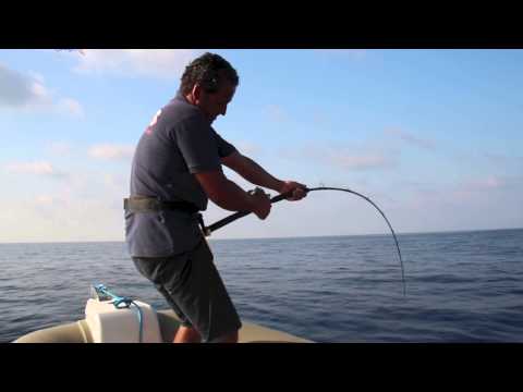 Drifting tonno rosso con la 12/20