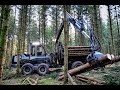 🌲4K|*Forwarder & Durchforstung* • Logset 6F GT • Good Job • Thinning • Loggingmachine🌲