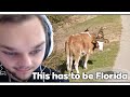 Blarg Reacts to THE WEIRDEST PLACES ON EARTH (GeoGuessr)