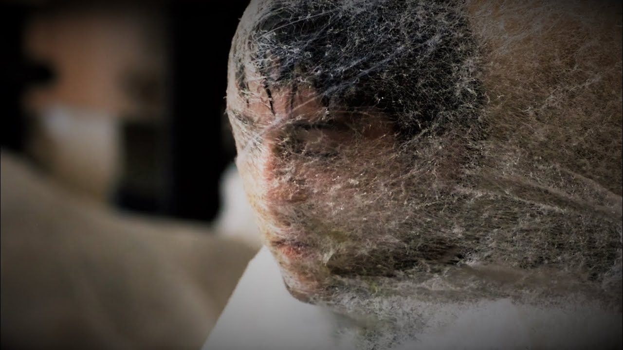 ПАРЕНЬ ПРОСНУЛСЯ В КОКОНЕ ПОСЛЕ НАШЕСТВИЯ ОГРОМНЫХ ЖУКОВ!!! - YouTube