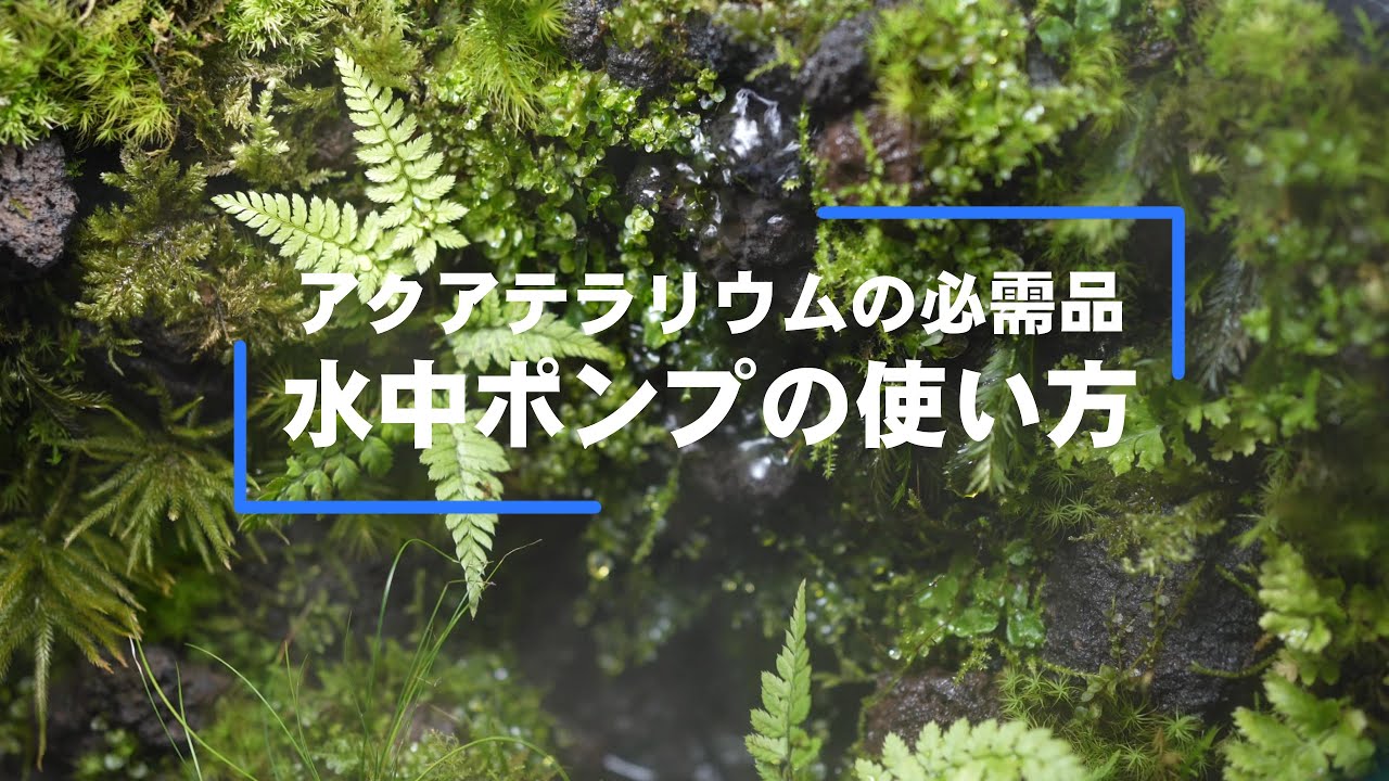 USB小型水中ポンプ【水の流れるテラリウム／滝の表現／アクアリウム
