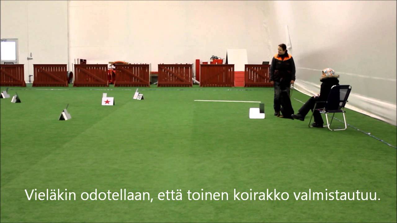 20150214 dPadin toinen startti RallyTOKOn VOI-luokassa ja hyväksytty tulos 74p.