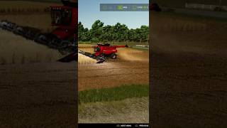 9250 Case cutting wheat #viral #ag #fypシ #fs25 #CaseIH #farming