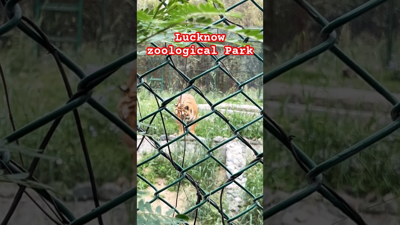 Lucknow Zoo 