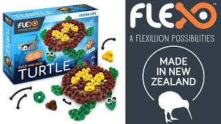 This Turtle Is So Friendly