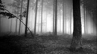 Satyricon - Into the Mighty Forest Satyricon - Into the Mighty Forest