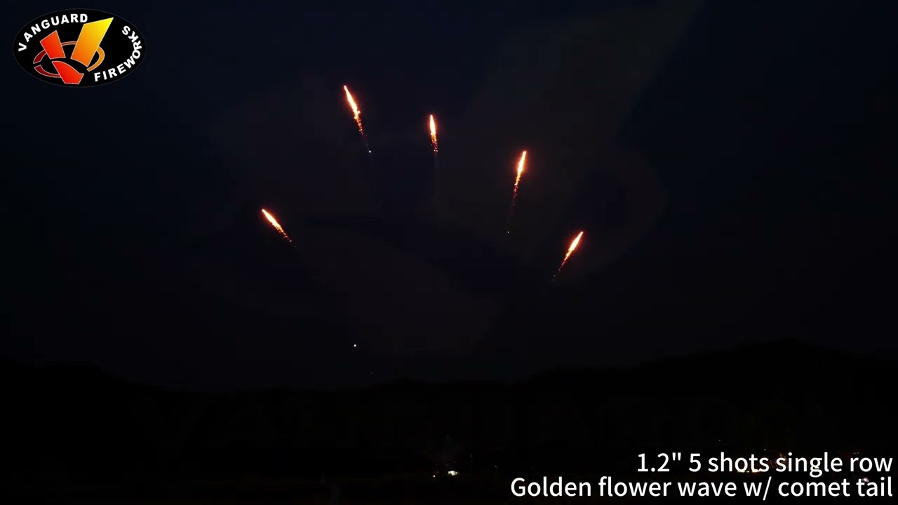 1.2“ 5 shots single row Golden flower wave w/comet tail