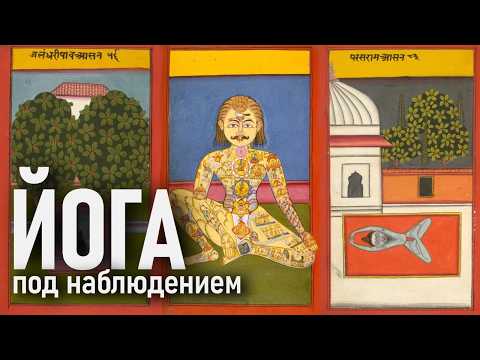 Ринад Минвалеев. Научный взгляд на йогу