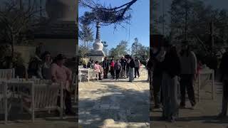 Na birse timilai Na paye Timilai Original old song