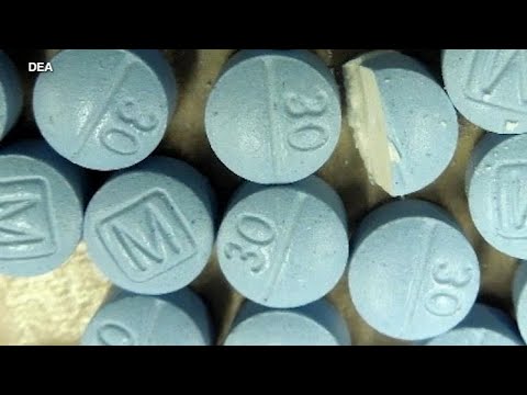 DEA has seized enough fentanyl this year to kill every American