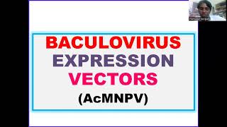 Celebrity Baculovirus expression Vectors: AcMNPV @Dr.DNA-Primer Profile