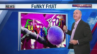 FuNkY FrUiT Gator Head Pepper screenshot 1