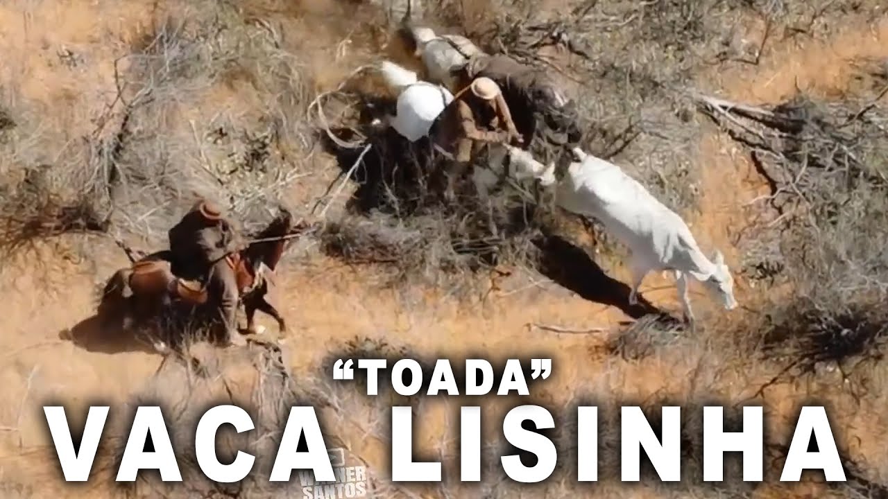 Vaca Lisinha (Toada)