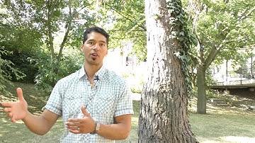 Scenarios and Pathways are like a "Choose your Own Adventure" Novel