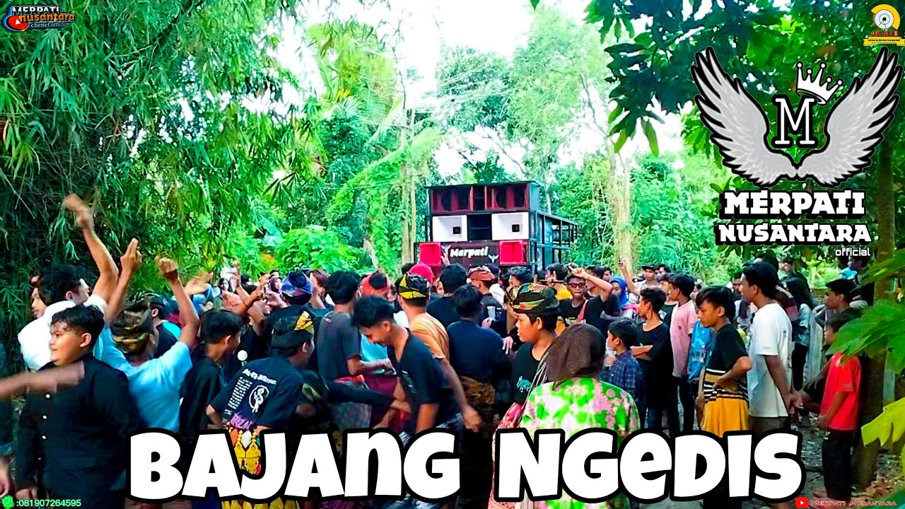 Live Reagge Bajang Ngedis (Joe Mellow) Live Reagge Bajang Ngedis (Joe Mellow)
