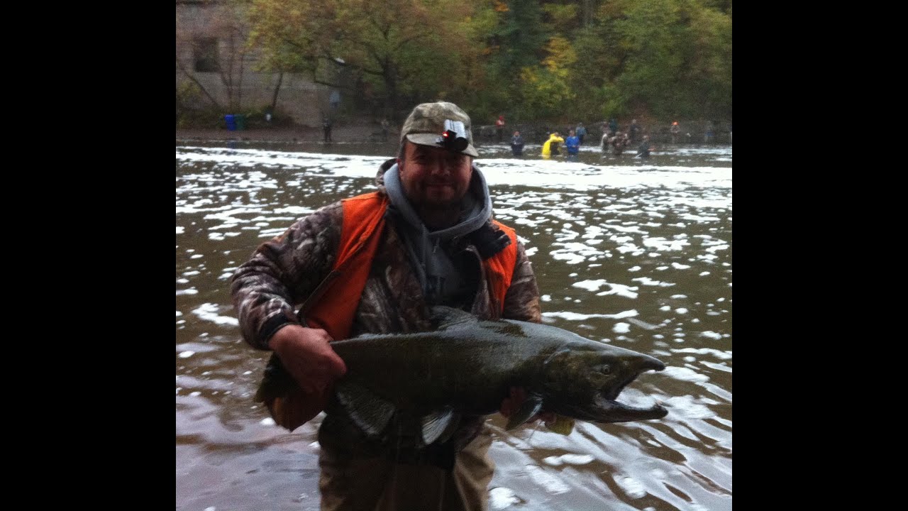 King Salmon fishing video New York's 18 mile creek YouTube