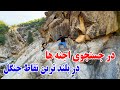 ادامه سفر جنگل جن زده به دنبال خانه اجنه ها قسمت نهم