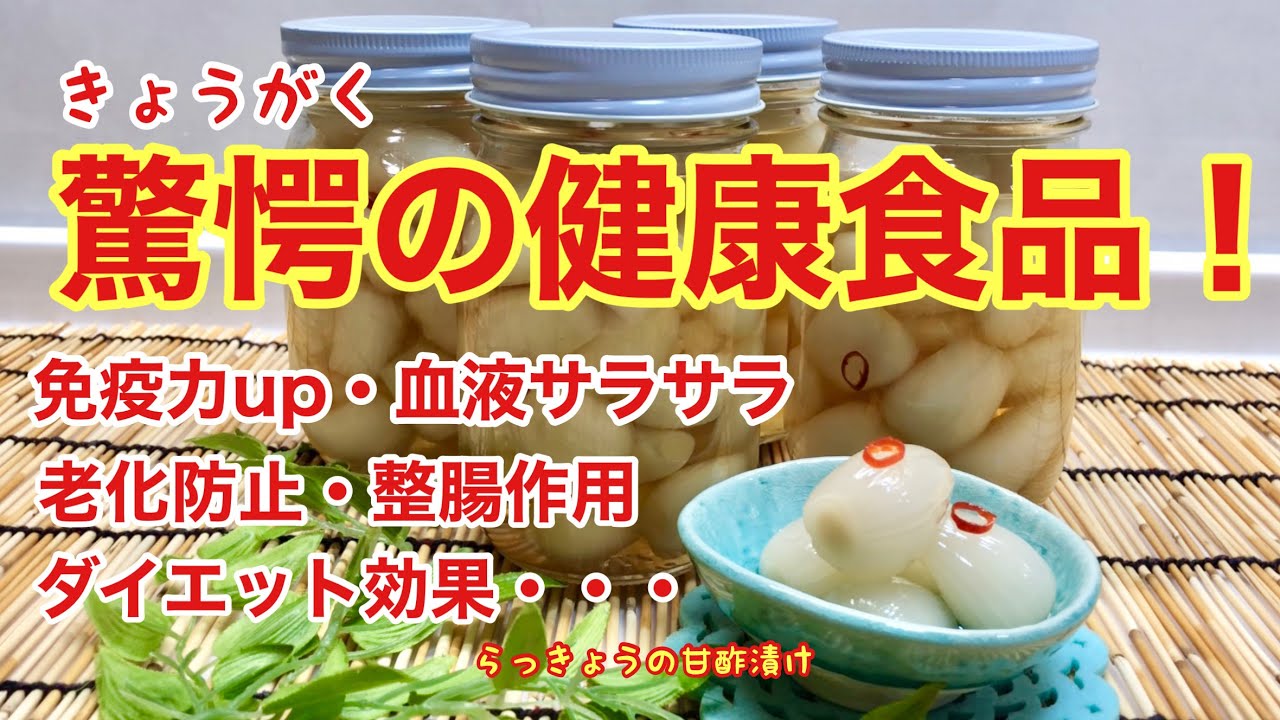 らっきょうの甘酢漬けの作り方 下処理済みの洗いらっきょうで簡単 健康効果抜群のらっきょうを毎日食べましょう Youtube