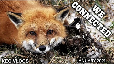 Dirt Hole Set Connects On Day 1