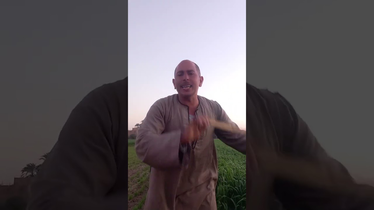 لا امان للبشر