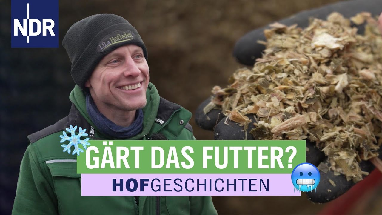 Bloß kein Schimmel: sind die Futtervorräte noch frisch genug? | Hofgeschichten (370) | NDR