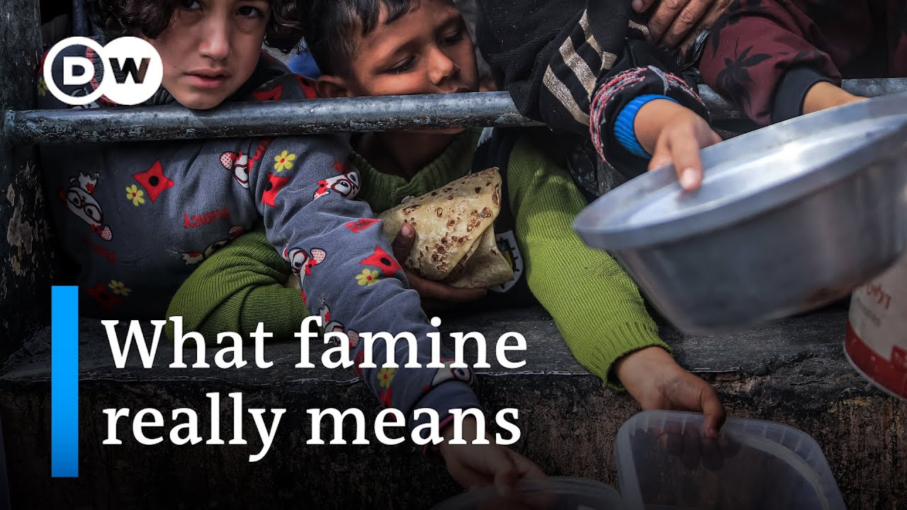 Famine expert analyzes humanitarian crisis in Gaza