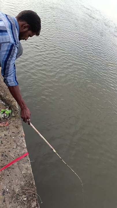 #banana #trichy #https://www.youtube.com/@thoondilvettai