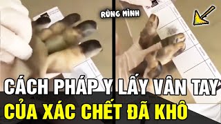 Cách pháp y LẤY DẤU VÂN TAY của nạn nhân trên XÁC CHẾT ĐÃ KHÔ khiến ai nấy rùng mình | Tin nhanh 24h