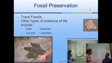 Geolgic time: correlation & fossil preservation