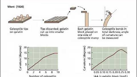 BVW214 T10 L13 part 1