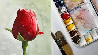 Still Life #46  How to Paint a Red Rose bud in Watercolor