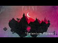 Plini - SELENIUM FOREST (E Standard)
